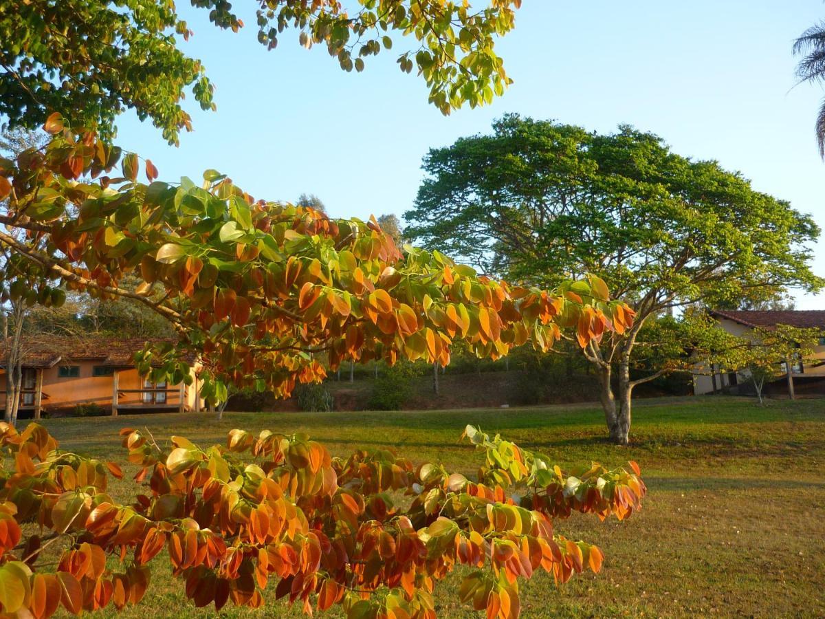 Porto Fazenda Hotel Alfenas Extérieur photo
